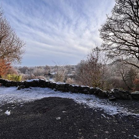 Sligo Forest Retreat Экстерьер фото