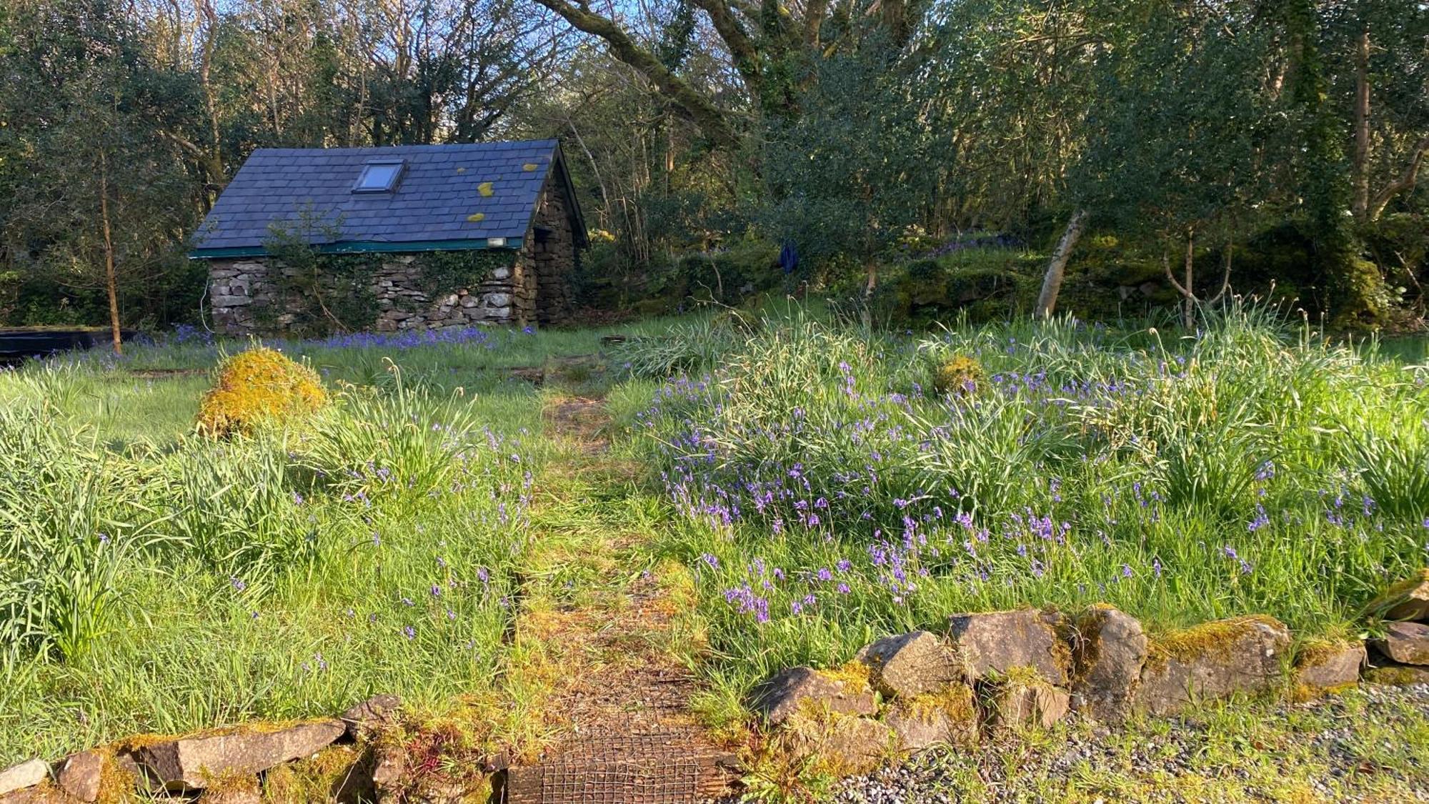 Sligo Forest Retreat Экстерьер фото