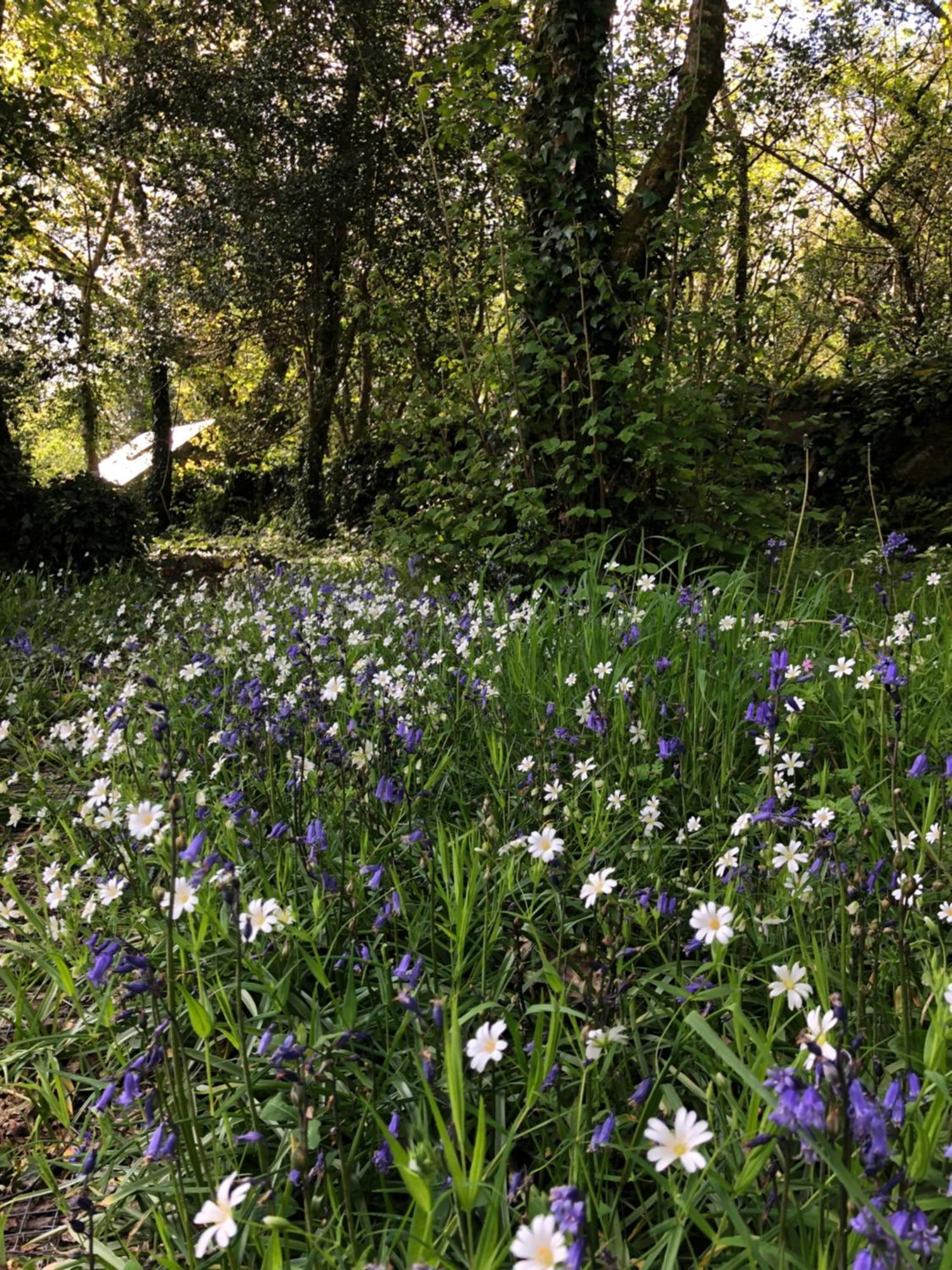 Вилла Sligo Forest Retreat Экстерьер фото