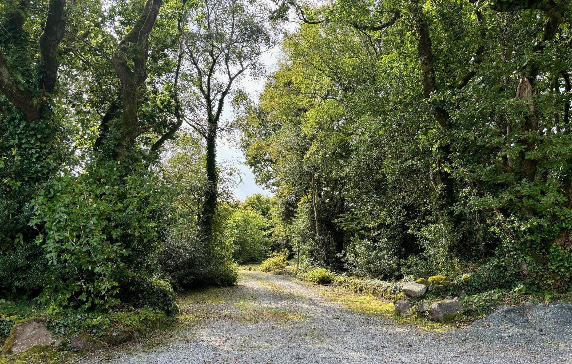 Вилла Sligo Forest Retreat Экстерьер фото