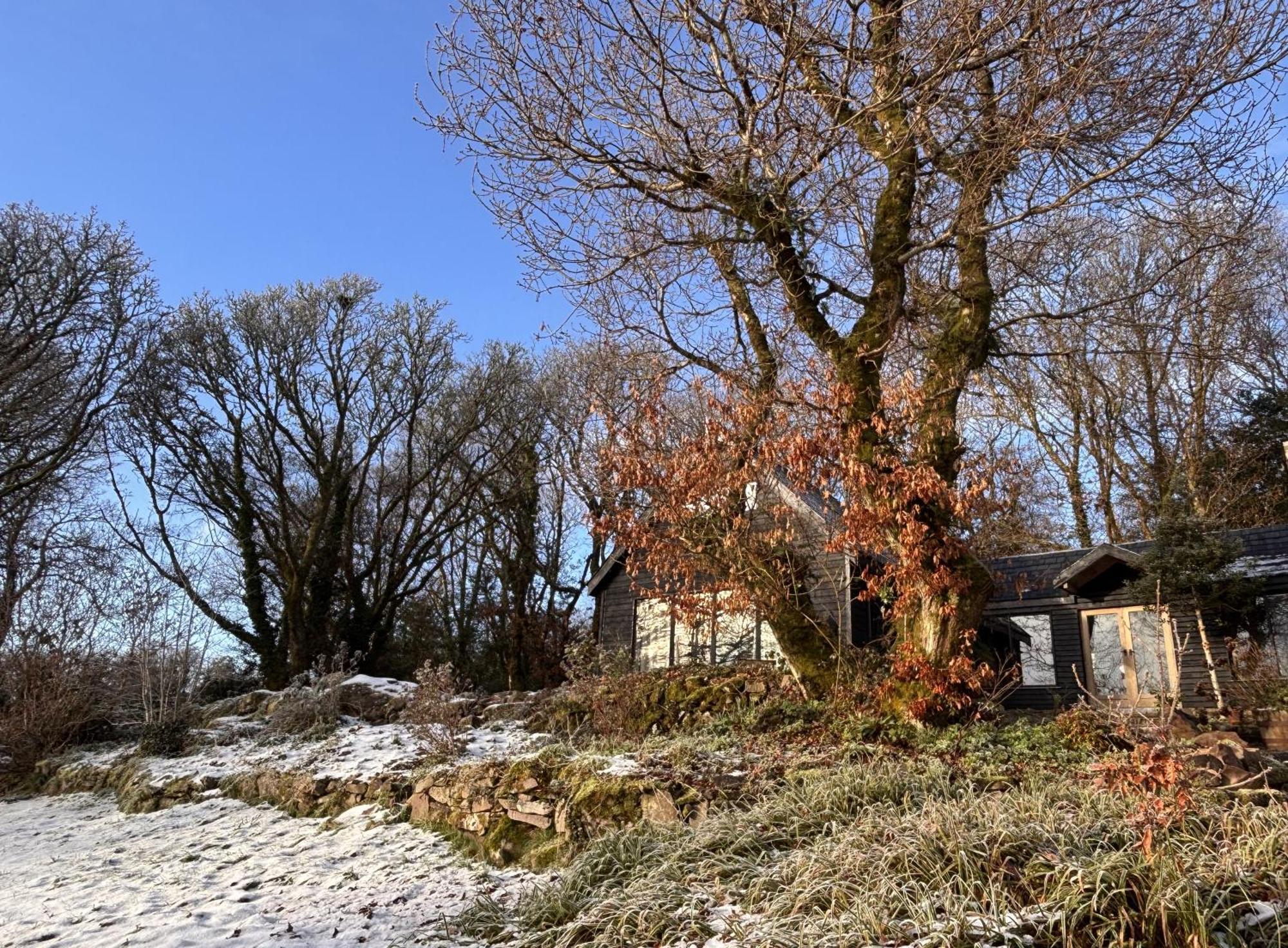 Вилла Sligo Forest Retreat Экстерьер фото